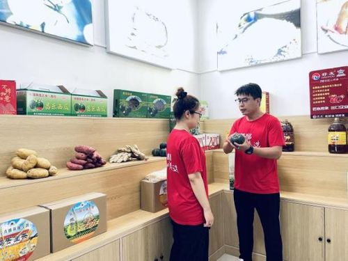 濰坊昌樂(lè) 琴聲悠揚(yáng)，奏響文化振興與初級(jí)農(nóng)產(chǎn)品銷售的交響曲