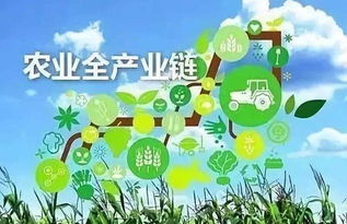 滯銷困境下，農(nóng)業(yè)產(chǎn)業(yè)鏈缺失的代價(jià)——低價(jià)與被動(dòng)銷售之痛