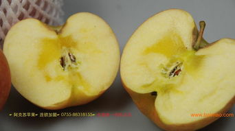 尋覓純正阿克蘇糖心蘋(píng)果——華夏田園農(nóng)產(chǎn)品銷(xiāo)售公司是您的最佳選擇