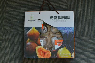 即墨段泊嵐種下一片無花果 結(jié)出致富產(chǎn)業(yè)鏈