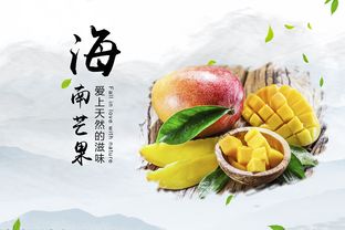 海南熱帶風味·新鮮直供——初級農產品銷售Banner精選